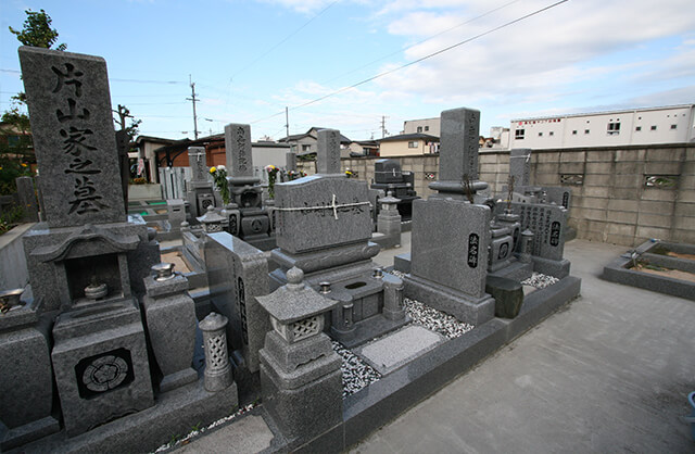 ¤ªÊè¤Î¼Ì¿¿