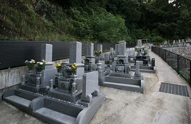 ¤ªÊè¤Î¼Ì¿¿