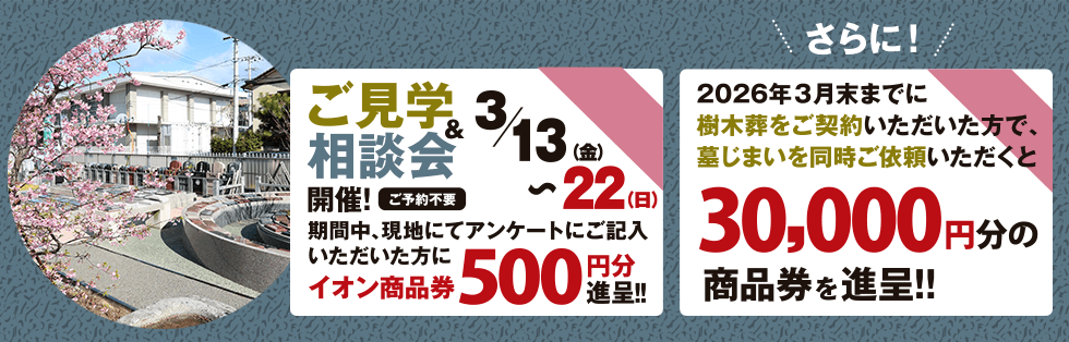 3��13����22���������ز�����̲�