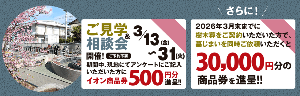 3��13����22���������ز�����̲�