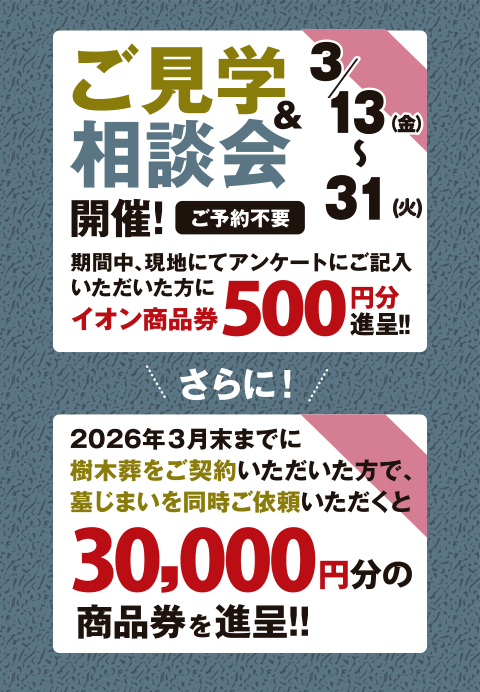 3��13����22���������ز�����̲�