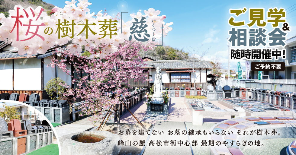 ���μ�����ֻ���