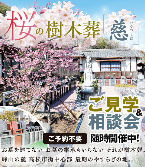 ���μ�����ֻ���