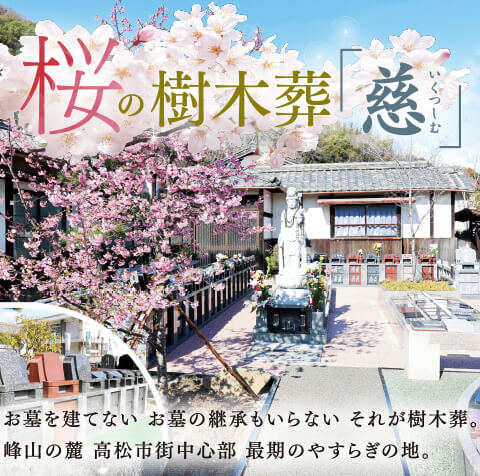 ���μ�����ֻ���